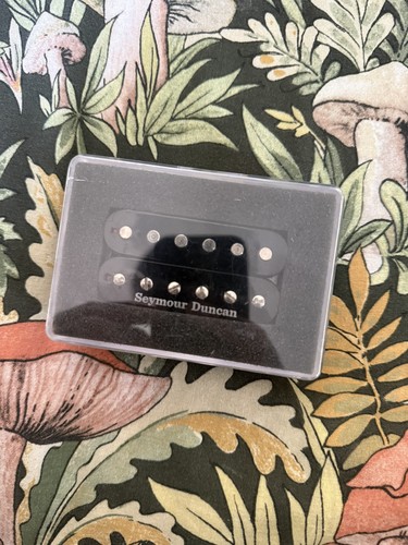 Seymour duncan jason becker - duncan,